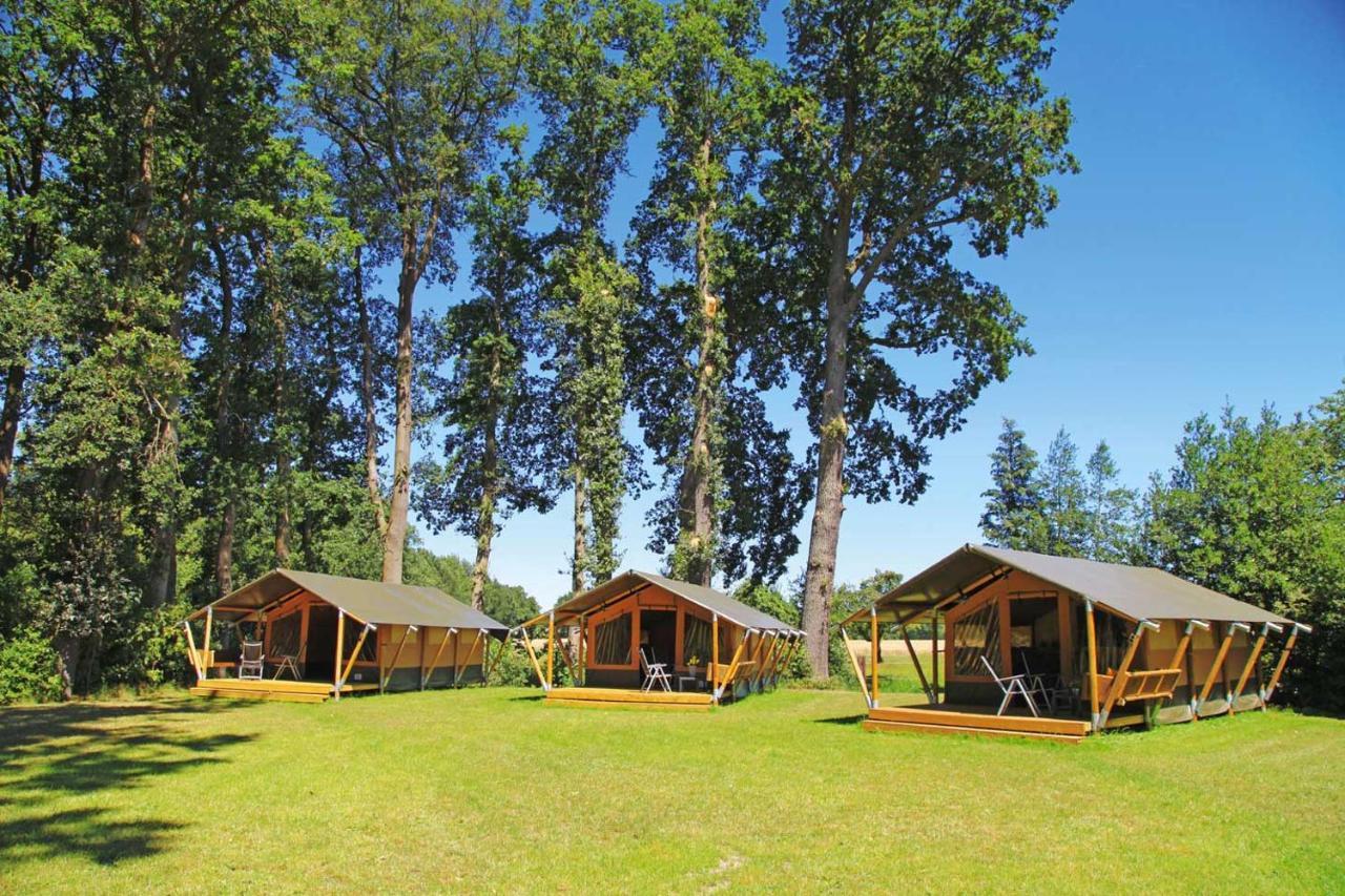 Ferienhof Brinkort Warmsen Ngoại thất bức ảnh